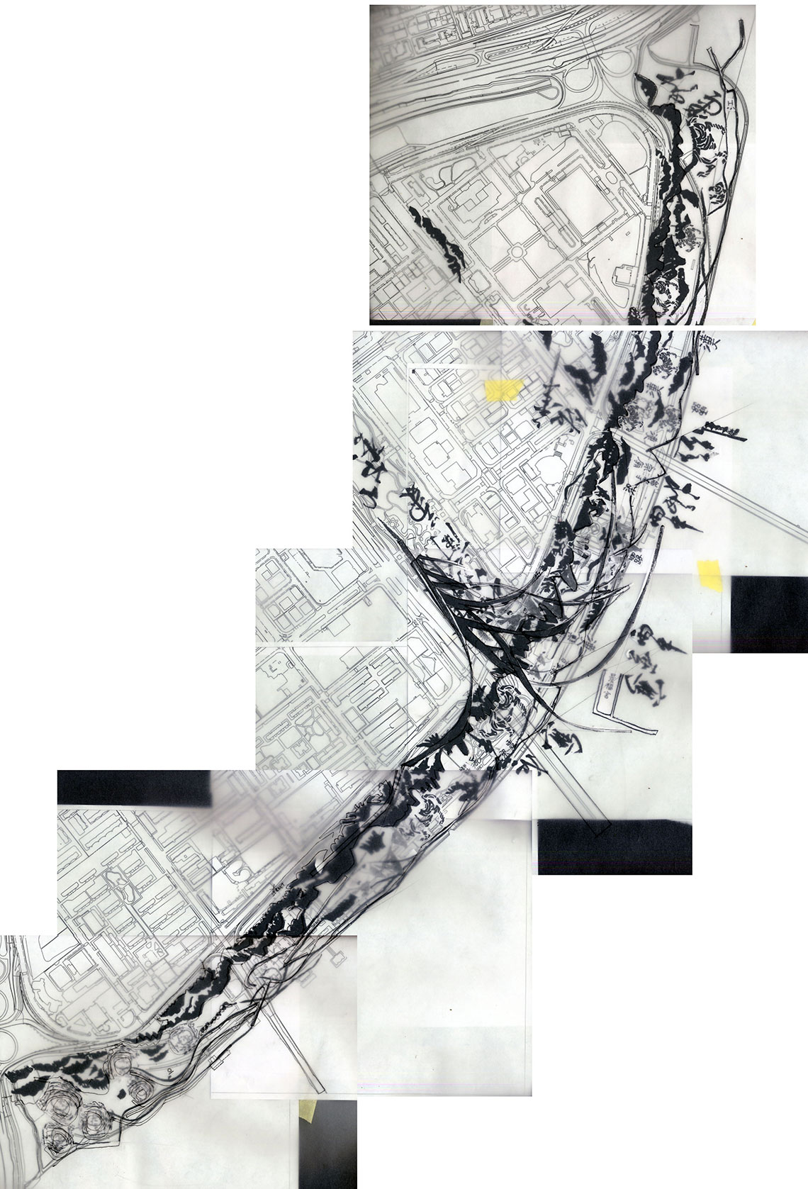 Seoul-scan