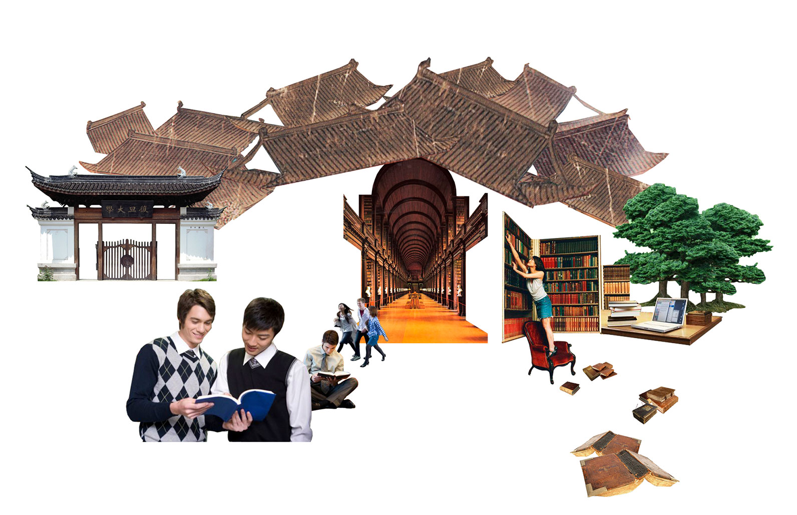COLLAGE-NINGBO-NEW-LIBRARY-1-(3)