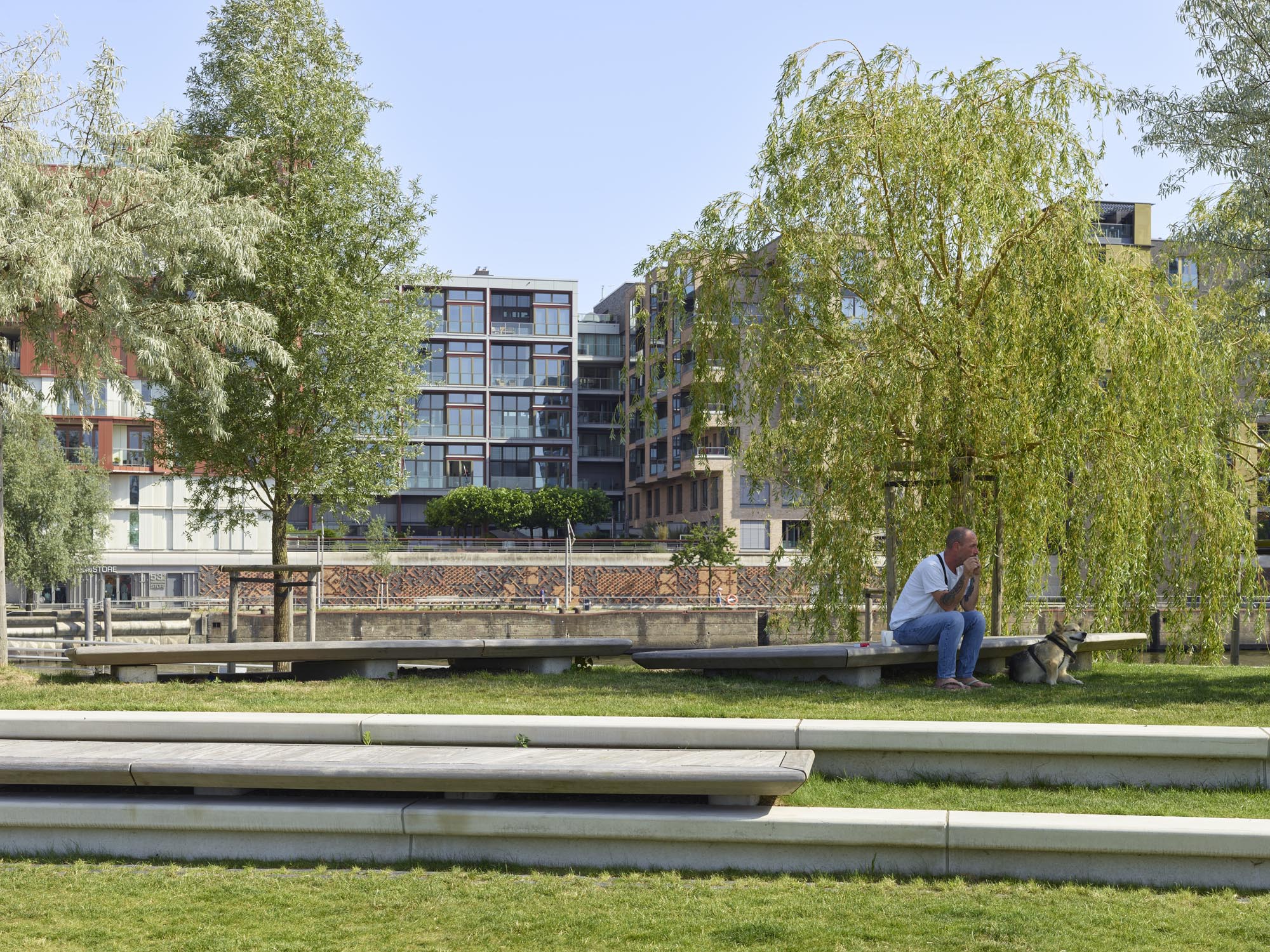 Strandhöft: Baumhain