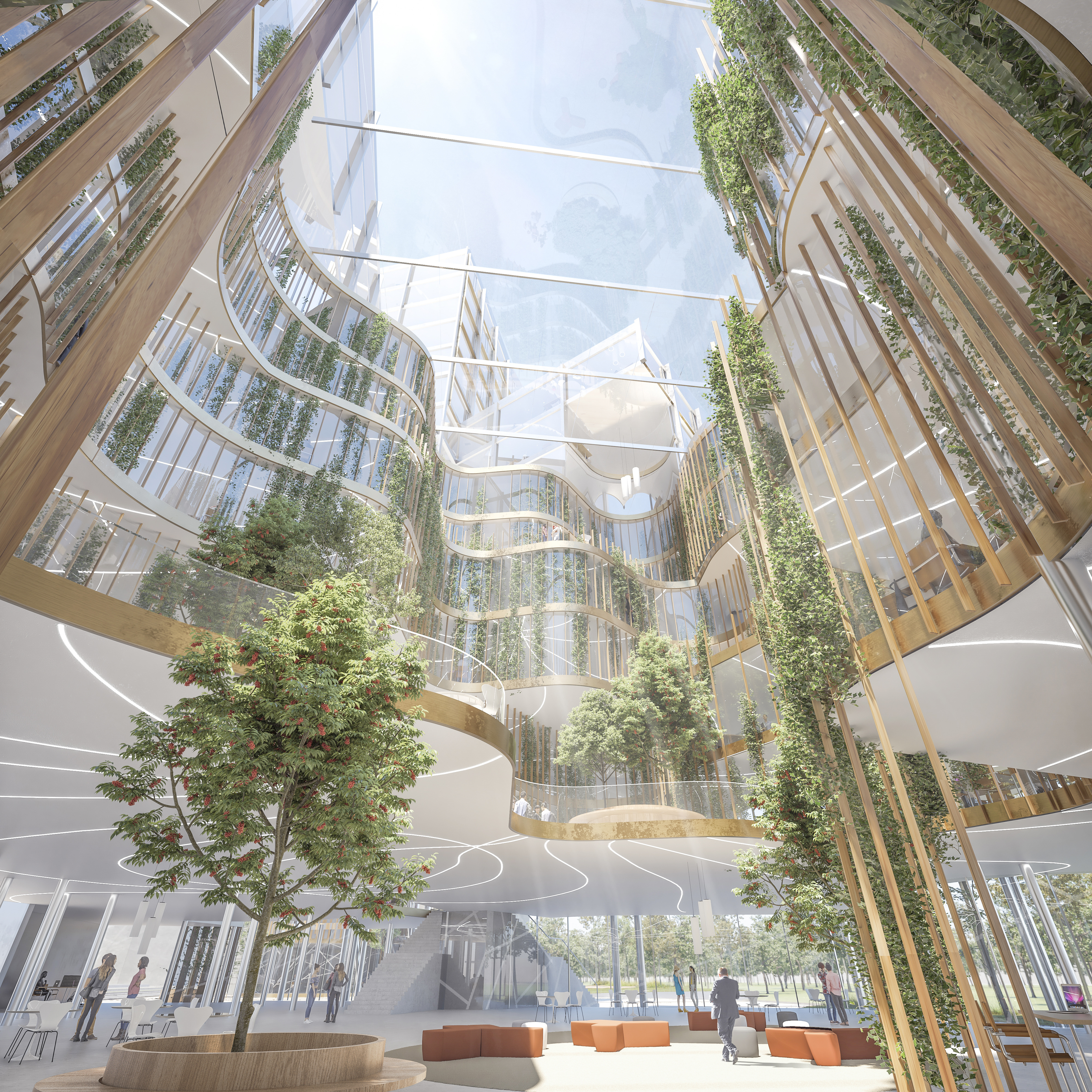 RENDER OF THE PATIO