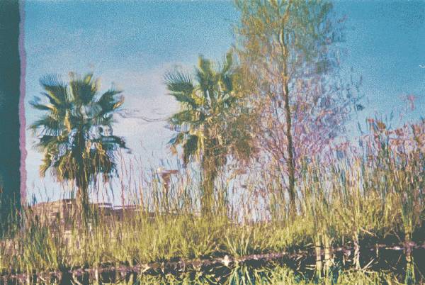 SUMMER GREETINGS – DIAGONAL MAR PARK 6 47fa921e364a415c8613b20aa9a4ecad19c6855c79835d79961d96759046d659