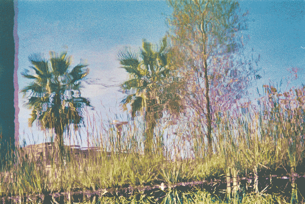 SUMMER GREETINGS – DIAGONAL MAR PARK 1 47fa921e364a415c8613b20aa9a4ecad19c6855c79835d79961d96759046d659